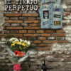 Portada-El-tiempo-perpetuo